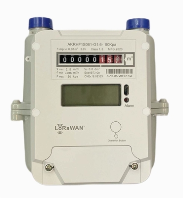 STS AMR प्रीपेड LORAWAN गैस मीटर
